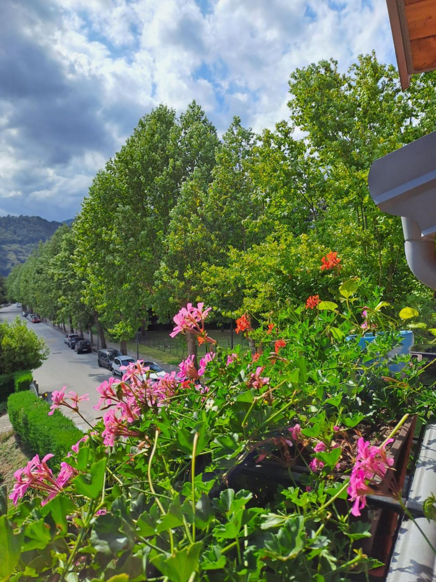 Casa Alby Levico Terme Exterior foto